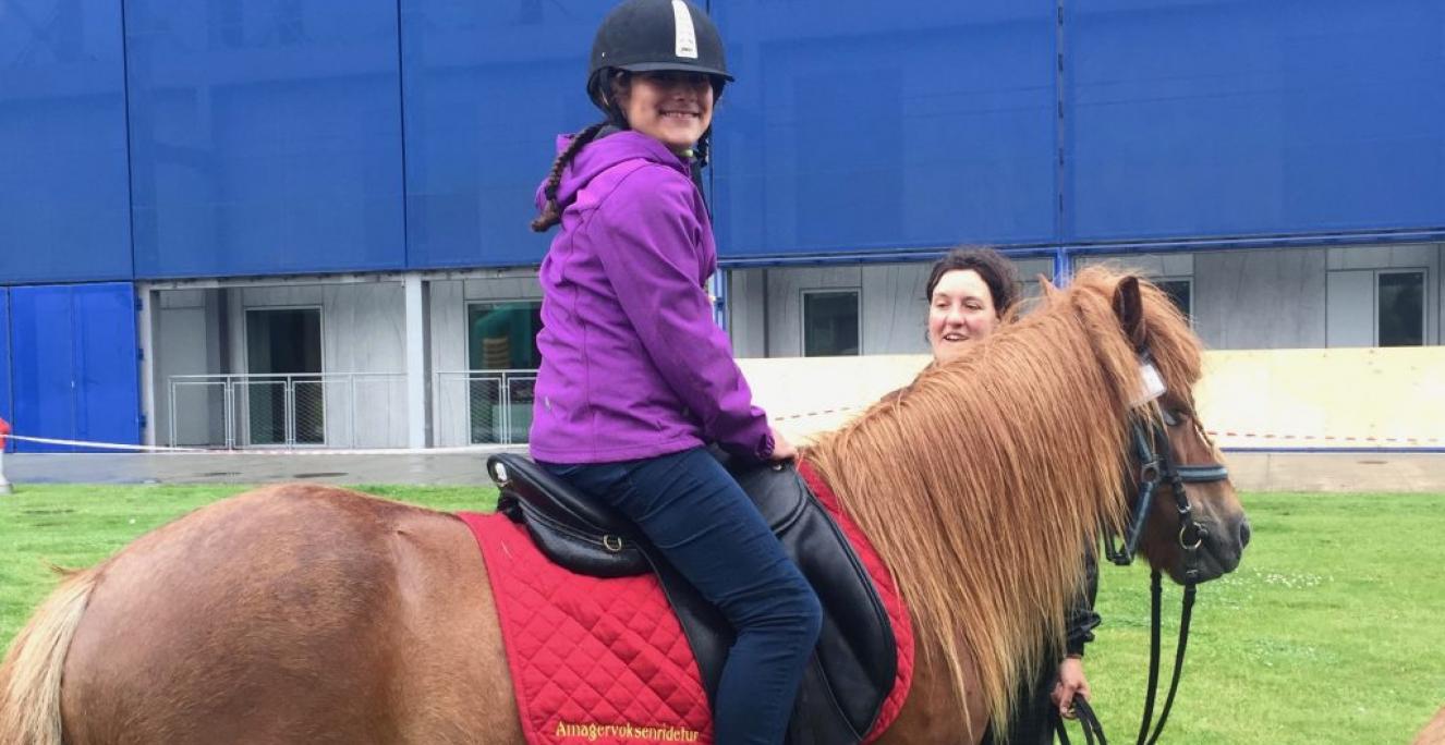 Zaynab Alis blogindlæg