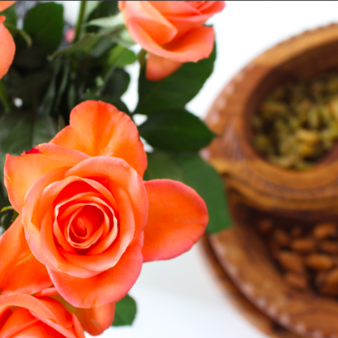 Blog 1 Ella Blog 1 Ella